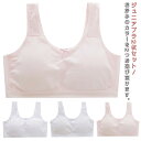 スポーツブラ 綿 ジュニアブラ 肌着 2枚セット 女の子 送料無料 夏 メッシュ 涼しい 通気性 薄手 コットン インナーウェア ノンワイヤー 子供 下着 キッ...