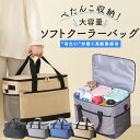 【最大30%offクーポン】 クーラーバッグ 保冷バッグ かわいい クーラーボックス 大型 クーラーバック おしゃれ 保冷リュック レディース 大容量 ソフトク...