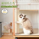 爪とぎ 爪とぎソファ 爪磨き 猫ソファー 猫のおもちゃ 猫ベッド 猫用 ペット用品 ペットグッズ おしゃれ ストレス解消 インテリア 傷防止 遊び 運動 遊び道具 運動不足対策 家具保護 かわいい 安全 おもちゃ(4)
