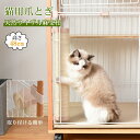 爪とぎ 爪とぎソファ 爪磨き 猫ソファー 猫のおもちゃ 猫ベッド 猫用 ペット用品 ペットグッズ おしゃれ ストレス解消 インテリア 傷防止 遊び 運動 遊び道具 運動不足対策 家具保護 かわいい 安全 おもちゃ