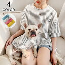 ペット 飼い主 セット お揃い Tシャツ 半袖 丸首 ドッグウエア 犬服 猫服 ペット服 大人 ペットウエア 犬 猫 愛犬 ペット ペット用品 カラフル ペット...