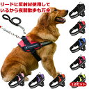 ハーネス リード 胴輪 首輪 犬用 小型犬 中型犬 大型犬 スプリング ペット 8の字ハーネス 通気性 ハーネス リードセット ドッグラン ドッググッズ 犬具 ...