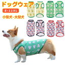 ドッグウエア 犬服 猫服 ペット服 ペットウエア 犬 猫 愛犬 ペット ペット用品 カラフル ペットグッズ 洋服 春 夏 秋 シンプル タンクトップ カジュアル...