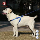 ハーネス リード セット 胴輪 首輪 犬用 中型犬 大型犬 小型犬 スプリング ペット 8の字ハーネス 通気性 リード ハーネスセット ドッグラン お散歩 脱着...