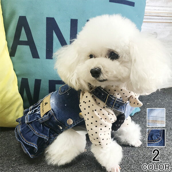 ڥå ǭ ǥ󥰥ɥ쥹  ɥå åȥ եޥ 뺧  ǭ ǥ ɥ쥹 塼륹...