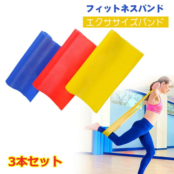 フィットネスバンド 3本セット エクササイズバンド ループバンド トレーニング チューブ ヨガバンド レジスタンスバンド 色別強度別ヨガ用 ダイエット フィットネスチューブ 筋トレ お尻トレ 美尻トレ 脚トレ 男女兼用 TPE天然ゴム 携帯便利 メール便