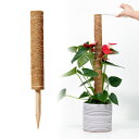 ココパームスティック セット 植物 支柱 おしゃれ ココ スティック 50cm 40cm 30cm モンステラ 観葉植物 植物支柱 ガーデン 園芸用 園芸支柱パ...