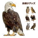 鳥避けグッズ 鳩よけ 鷹 フクロウ カラス撃退 ハト対策 スズメ・ツバメ 猫避け つばめ 屋外 ベランダ 果樹園 農作物 農園向け メール便