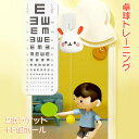 卓球トレーニング セット 卓球トレーナー カエル 吊り下げ式 調節可能 屋内 屋外 視覚運動 子供用 おもちゃ 室内 卓球 ぶら下げる 練習用 初心者 トレーニ...