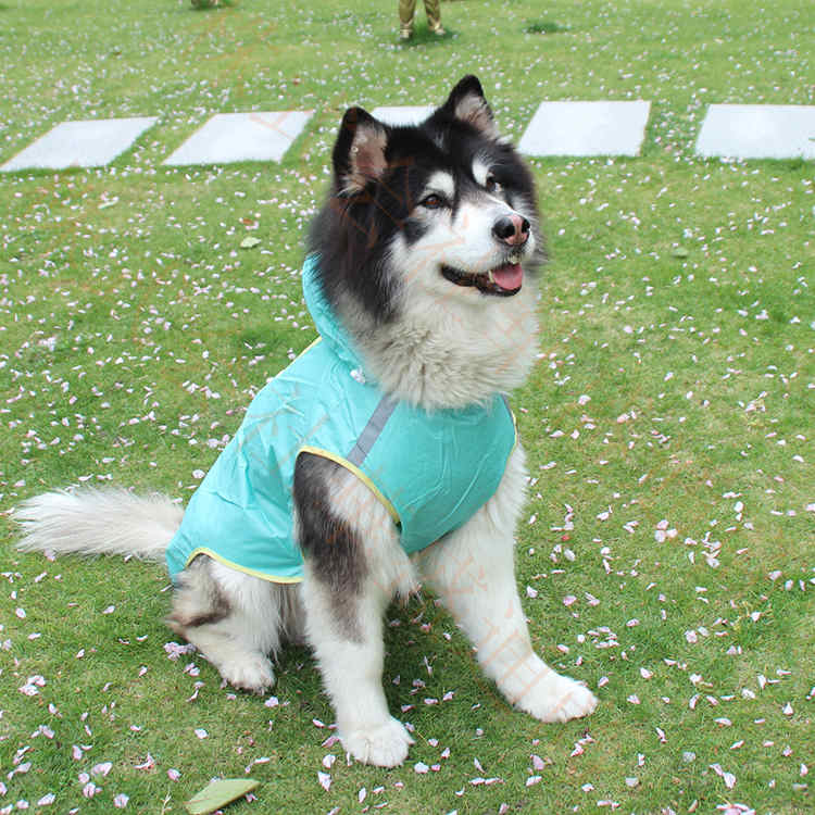 ドッグウエア 犬服 ペット服 ペットウエア 犬 愛犬 ペット レインコート防撥水 パーカー 雨 カラフル 雨対策 レイン ペットグッズ 洋服 秋 冬 シンプル カジュアル かわいい お出掛け お散歩 メール便
