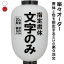 20号長 ビニール提灯 楽々オーダー 文字のみ 簡単 ちょうちん 名入れ直径約58cm 長型 店舗看板 お祭り イベント 記念品 お寺 神社 奉納 協賛