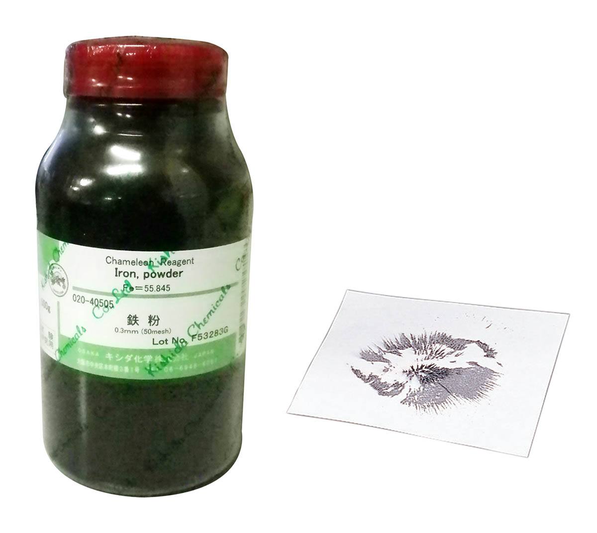 鉄粉 #50 500g 50メッシュ