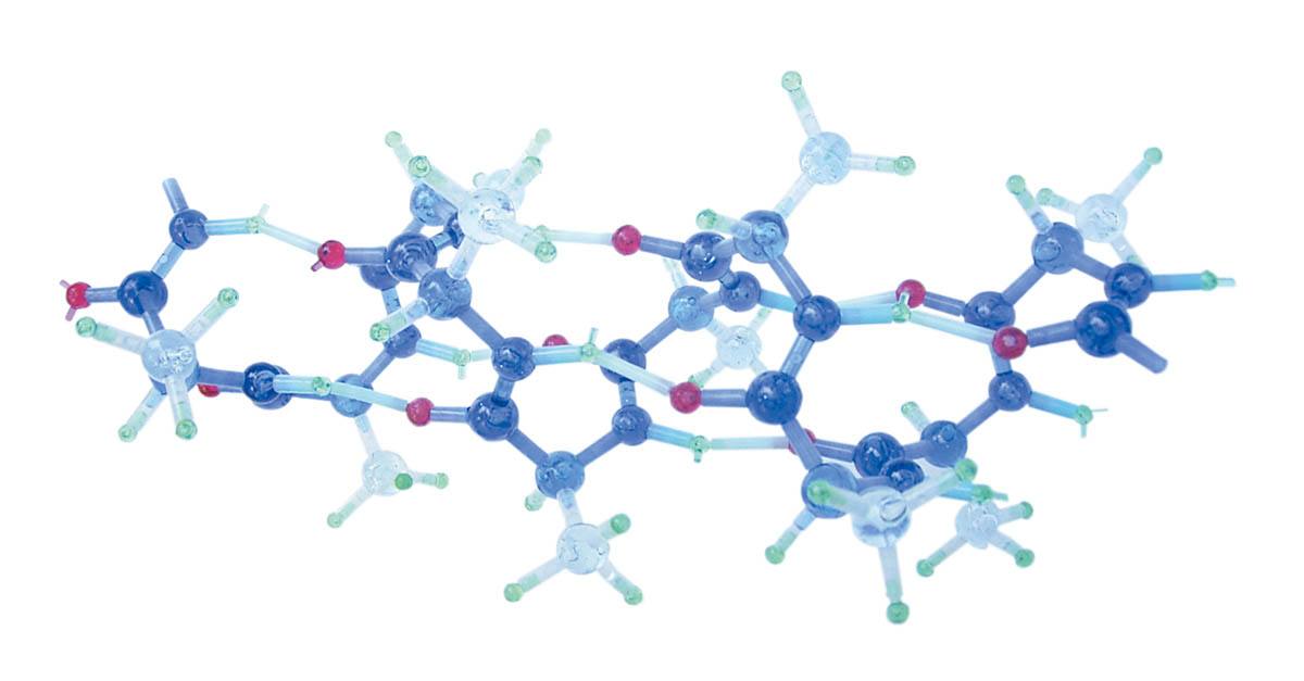 分子構造模型 モル タロウ タンパク質セットセットII αヘリックス PRT-2