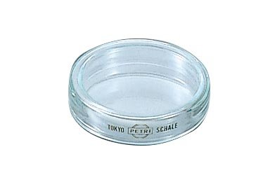 シャーレ ペトリ皿 70 口内径70φ×高さ20mm