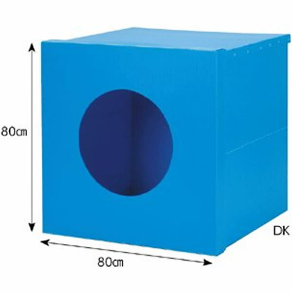 大型 空気砲 DK2-S （スモークマシン付）