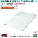 MX 合成スポンジ マット ハイジニック 5cm厚 6号帆布 150×300 スベラーズなし