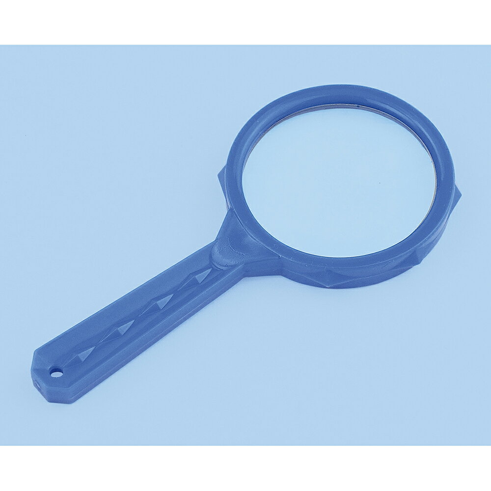 虫めがね ルーペ 20個セット LB-20