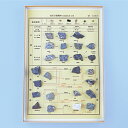 ●造岩鉱物7種、火成岩11種、堆積岩および変成岩14種の全32種からなる標本です。 ＜仕様＞ 商品コード：L55-2170 造岩鉱物：石英、正長石、斜長石、黒雲母、角閃石、輝石、カンラン石 火成岩：花こう岩、閃緑岩、斑れい岩、カンラン岩、斑岩、?岩、輝緑岩、蛇紋岩、流紋岩、安山岩、玄武岩 堆積岩および変成岩：れき岩、砂岩、ホルンフェルス、マイロナイト、頁岩、片麻岩、チャート、凝灰岩、珪岩、千枚岩、輝緑凝灰岩、石灰岩、晶質石灰岩、緑泥片岩 ※内容は一部変更になることがあります。 箱の大きさ：320×218×24mm 入数：1