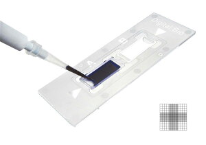 ディスポーザブル 血球計算盤 C-Chip ノイバウエル改良型 N-10