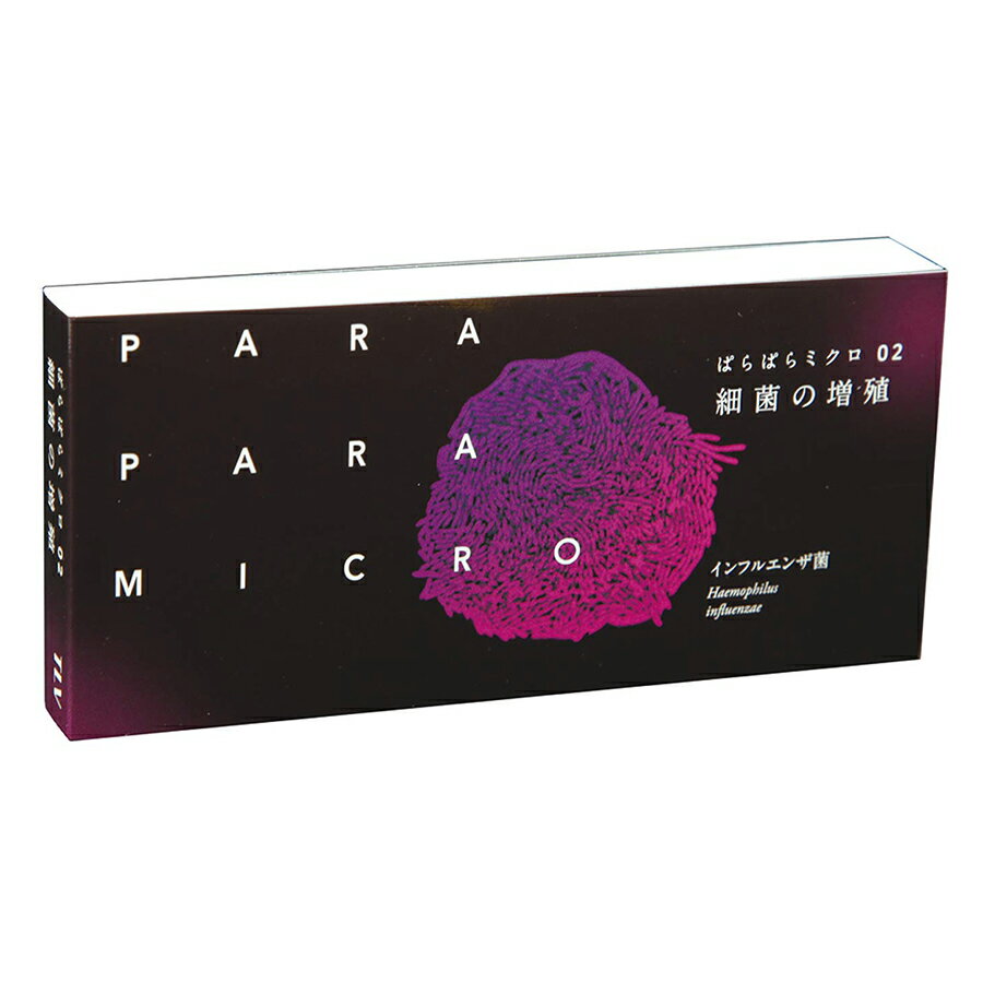 パラパラ 顕微鏡写真 「ぱらぱらミクロ」 細菌の増殖