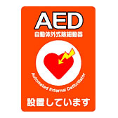 AED ֥ A4 ̰ 1 ƥå Y267A