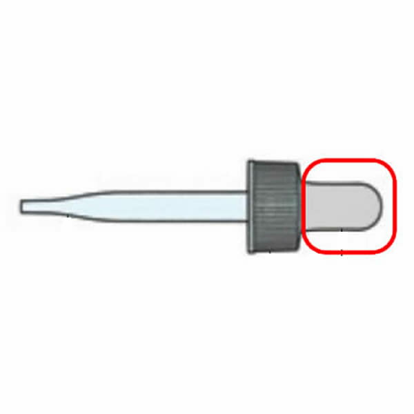 ݥȥ No.40L ŷ 졼 10 ݥ