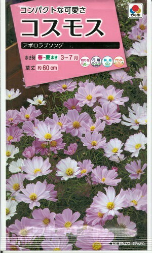 花種子 コスモス「アポロラブソング」　40粒（タキイ種苗）　【送料込み】秋桜 アキザクラ 大春車菊 オオハルシャギクのサムネイル
