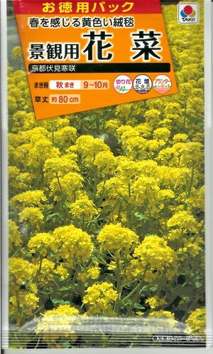 花種子【タキイ種苗】花菜　景観用　京都伏見寒咲　20ml袋詰【送料込み】