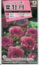 花種子　『タキイ種苗』　葉牡丹　プラチナケール　グロッシーレッド　15粒袋詰　