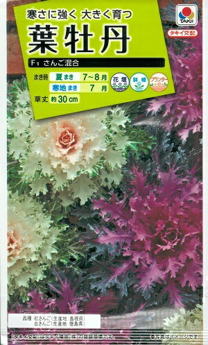 花種子　『タキイ種苗』　葉牡丹　さんご混合　0.5ml袋詰　約40本　【送料込み】