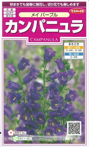 花種子　『サカタのタネ』　カンパニュラ　メイパープル　0,05ml袋詰　(約40本)　【送料込み】　つりがね草