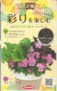 花種子×野菜種子　『サカタのタネ』　ビオラ×リーフレタス2種アソートパック　ビオラ10粒×レタス0,1ml袋詰　【送料込み】