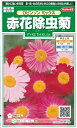 花種子 『サカタのタネ』 赤花除虫菊 ロビンソンミックス 1ml袋詰 (約80本) 【送料込み】 ムシヨケギク