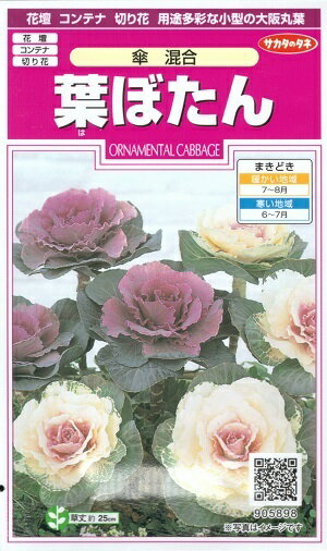 花種子 葉牡丹「傘 混合」　0.3ml（約30本）（サカタのタネ）　【送料込み】葉ぼたん／牡丹菜／ボタンナ／オランダナ