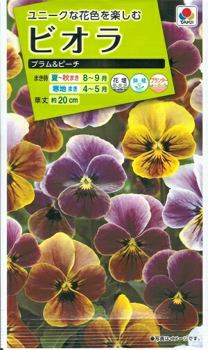 花種子　『タキイ種苗』　ビオラ　プラム＆ピーチ　0.1ml袋詰　(約40本分)　【送料込み】