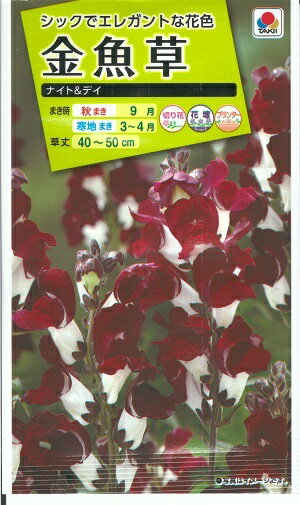 花種子　『タキイ種苗』　金魚草　ナイト＆デイ　0.05ml　(約50本分)　【送料込み】