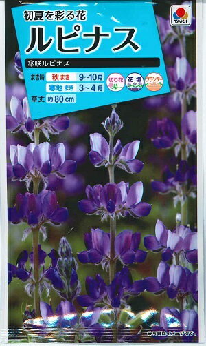 花種子　『タキイ種苗』　ルピナス　傘咲ルピナス　10ml袋詰め　【送料込み】