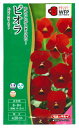 花種子 ビオラ「ビビ スカーレット」 0.2ml(タキイ種苗)【送料込み】