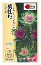 花種子 葉牡丹「フェザー混合」40粒(タキイ種苗)【送料込み】葉ぼたん/牡丹菜/ボタンナ/オランダナ