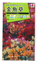 花種子 金魚草「マジックカーペット混合」0.5ml(タキイ種苗)【送料込み】キンギョソウ/スナップドラゴン/アンテリナム