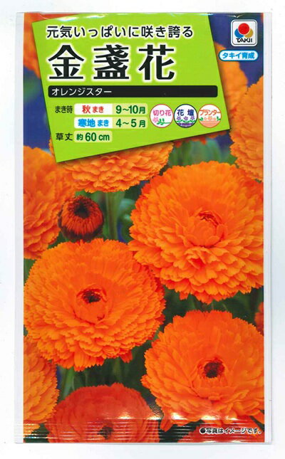 花種子 金盞花「オレンジスター」5ml（タキイ種苗）【送料込み】キンセンカ きんせんか カレンジュラ カレンデュラ ポット・マリーゴールド FKN202
