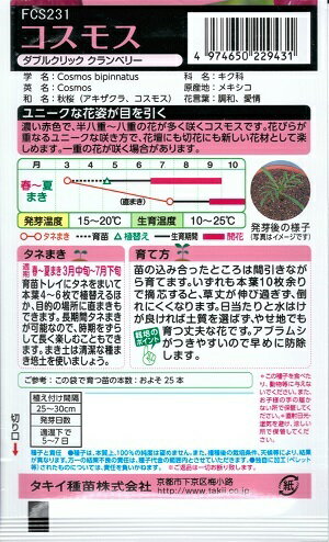 コスモス　【タキイ種苗』　ダブルクリック クランベリー　1.2ml袋詰　【送料込み】