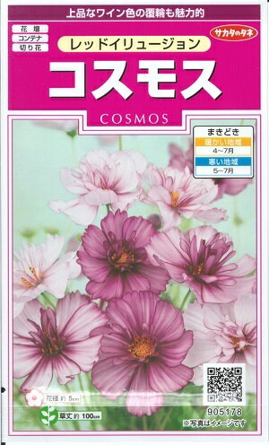 花種子 コスモス「レッドイリュージョン」　 0.5ml（サカタのタネ）　【送料込み】