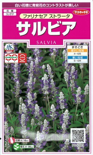 花種子 サルビア「ファリナセア ストラータ」 0.2ml(約50本分)(サカタのタネ) 【送料込み】ファリナセアストラータ ブルーサルビア セージ 緋衣草 ひいそう ヒイソウ