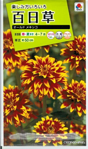 花種子　『タキイ種苗』　百日草　オールドメキシコ　2ml袋詰　(約85本分)　