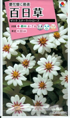 花種子　『タキイ種苗』　百日草　ザハラ スターライトローズ　30粒袋詰　【送料込み】