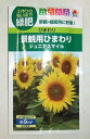 緑肥種子　『タキイ種苗』　景観用ひまわり種子　ジュニアスマイル　60ml袋詰　【送料込み】