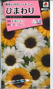 花種子 ひまわり「サンセットリッチ」 2ml(タキイ種苗) 【送料込み】 向日葵/ヒマワリ