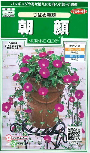 花種子 朝顔「つばめ朝顔」　 1ml（サカタのタネ）【送料込み】のサムネイル