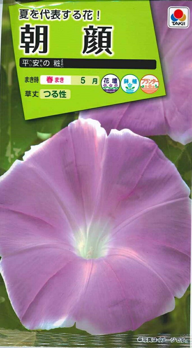 花種子　タキイ種苗　朝顔　平安の粧　1.5ml袋詰　送料込み